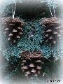 Toboz (nagy) Karcsonyfa dszek, natr- ezst csillmos vltozatban